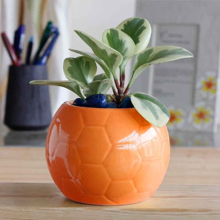Football Ceramic Pot (Orange)